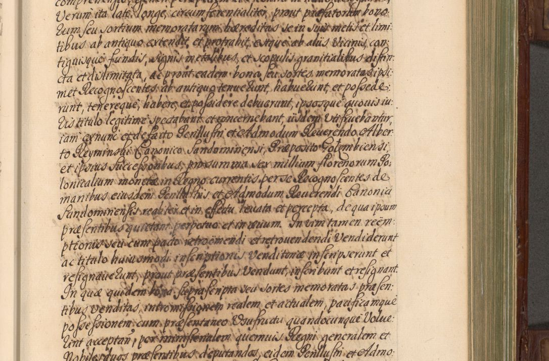 Zdjęcie nr 302 dla obiektu archiwalnego: Acta actorum episcopalium R. D. Andrea Trzebicki, episcopi Cracoviensis a mense Aprili 1675 ad Aprilem 1676 acticatorum. Volumen VI
