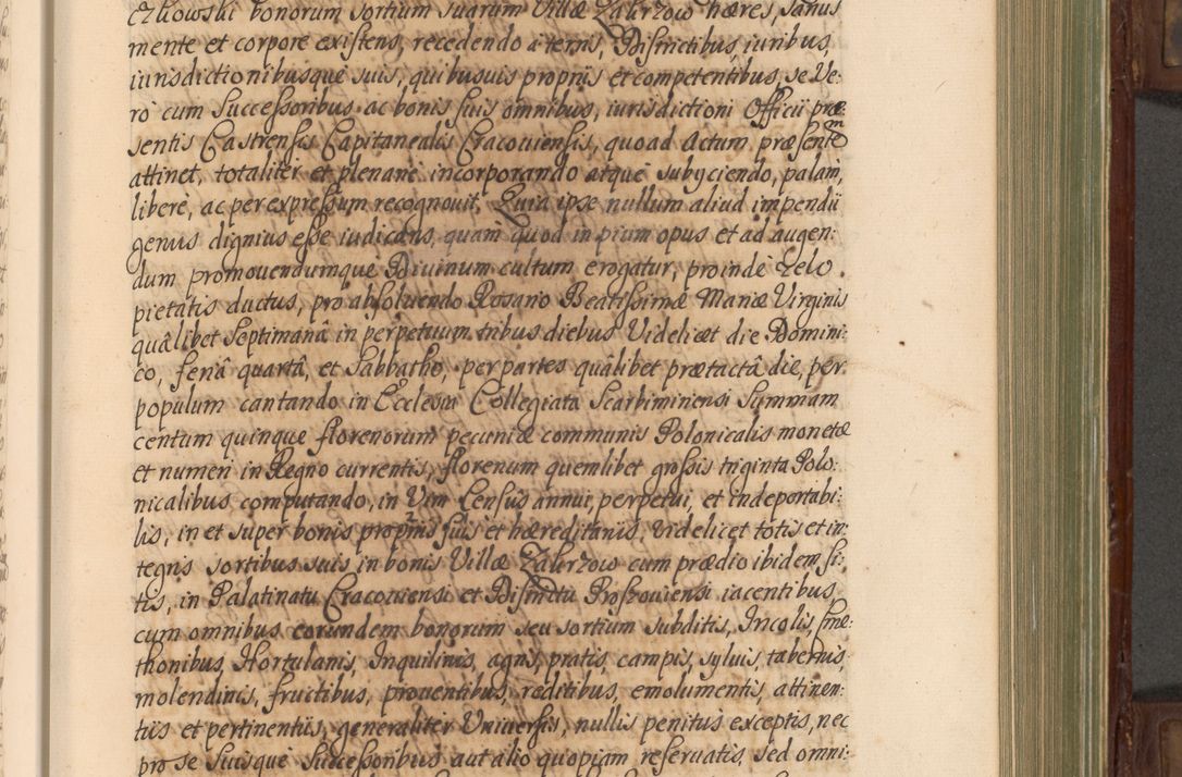 Zdjęcie nr 276 dla obiektu archiwalnego: Acta actorum episcopalium R. D. Andrea Trzebicki, episcopi Cracoviensis a mense Aprili 1675 ad Aprilem 1676 acticatorum. Volumen VI