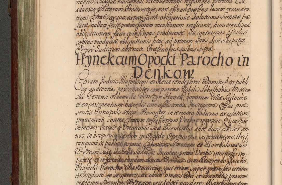 Zdjęcie nr 249 dla obiektu archiwalnego: Acta actorum episcopalium R. D. Andrea Trzebicki, episcopi Cracoviensis a mense Aprili 1675 ad Aprilem 1676 acticatorum. Volumen VI