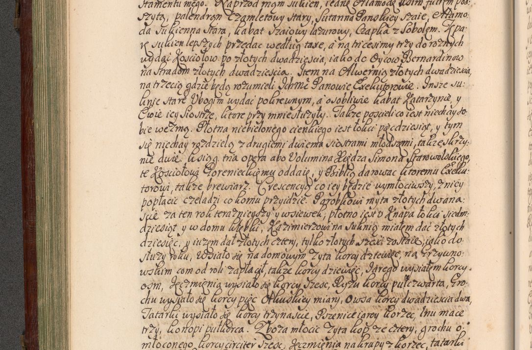 Zdjęcie nr 205 dla obiektu archiwalnego: Acta actorum episcopalium R. D. Andrea Trzebicki, episcopi Cracoviensis a mense Aprili 1675 ad Aprilem 1676 acticatorum. Volumen VI