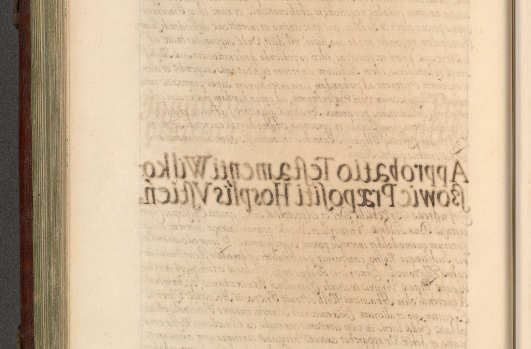 Zdjęcie nr 199 dla obiektu archiwalnego: Acta actorum episcopalium R. D. Andrea Trzebicki, episcopi Cracoviensis a mense Aprili 1675 ad Aprilem 1676 acticatorum. Volumen VI