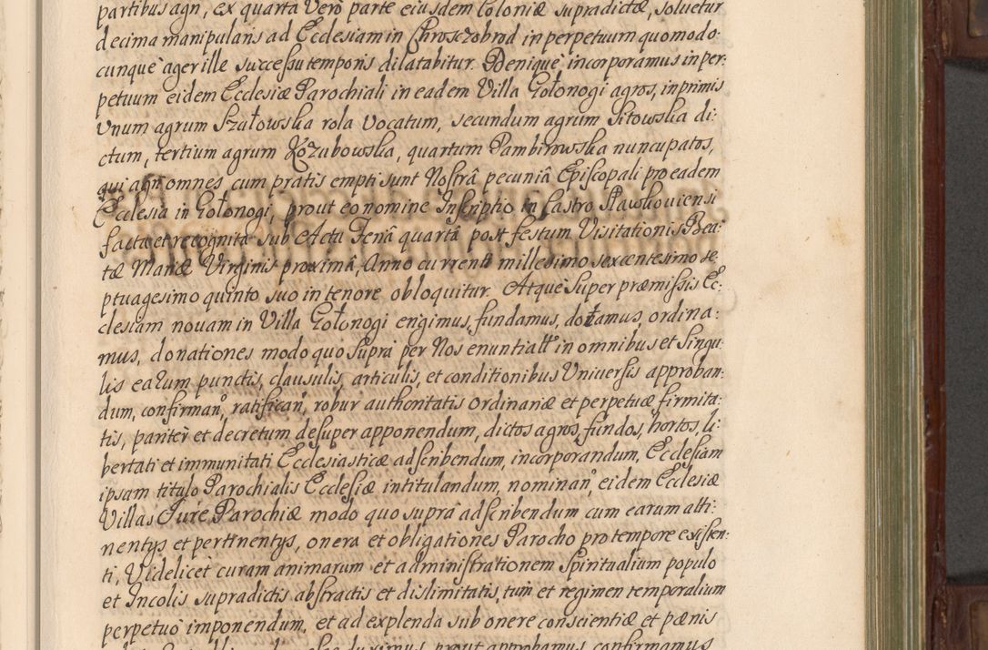 Zdjęcie nr 196 dla obiektu archiwalnego: Acta actorum episcopalium R. D. Andrea Trzebicki, episcopi Cracoviensis a mense Aprili 1675 ad Aprilem 1676 acticatorum. Volumen VI