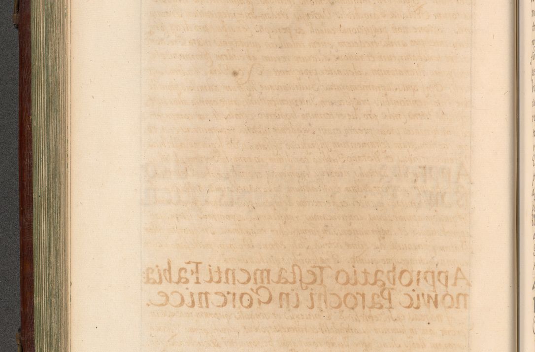 Zdjęcie nr 201 dla obiektu archiwalnego: Acta actorum episcopalium R. D. Andrea Trzebicki, episcopi Cracoviensis a mense Aprili 1675 ad Aprilem 1676 acticatorum. Volumen VI