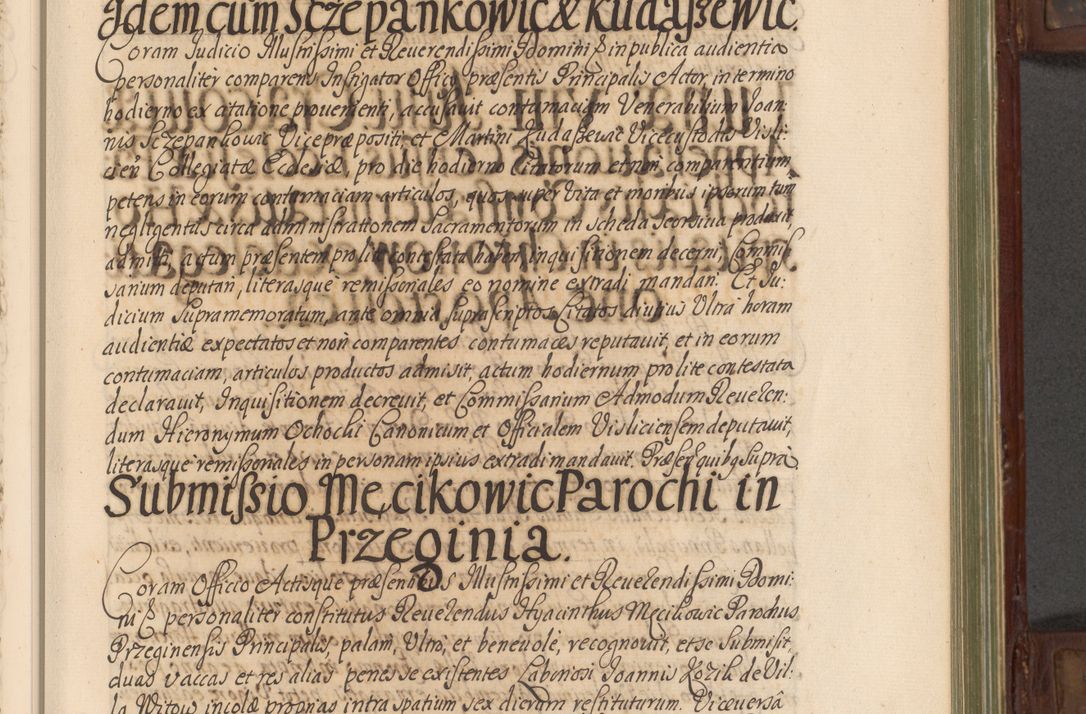 Zdjęcie nr 192 dla obiektu archiwalnego: Acta actorum episcopalium R. D. Andrea Trzebicki, episcopi Cracoviensis a mense Aprili 1675 ad Aprilem 1676 acticatorum. Volumen VI