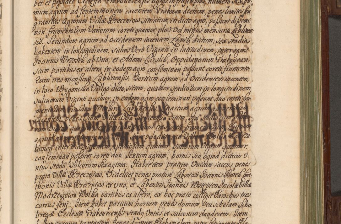 Zdjęcie nr 160 dla obiektu archiwalnego: Acta actorum episcopalium R. D. Andrea Trzebicki, episcopi Cracoviensis a mense Aprili 1675 ad Aprilem 1676 acticatorum. Volumen VI