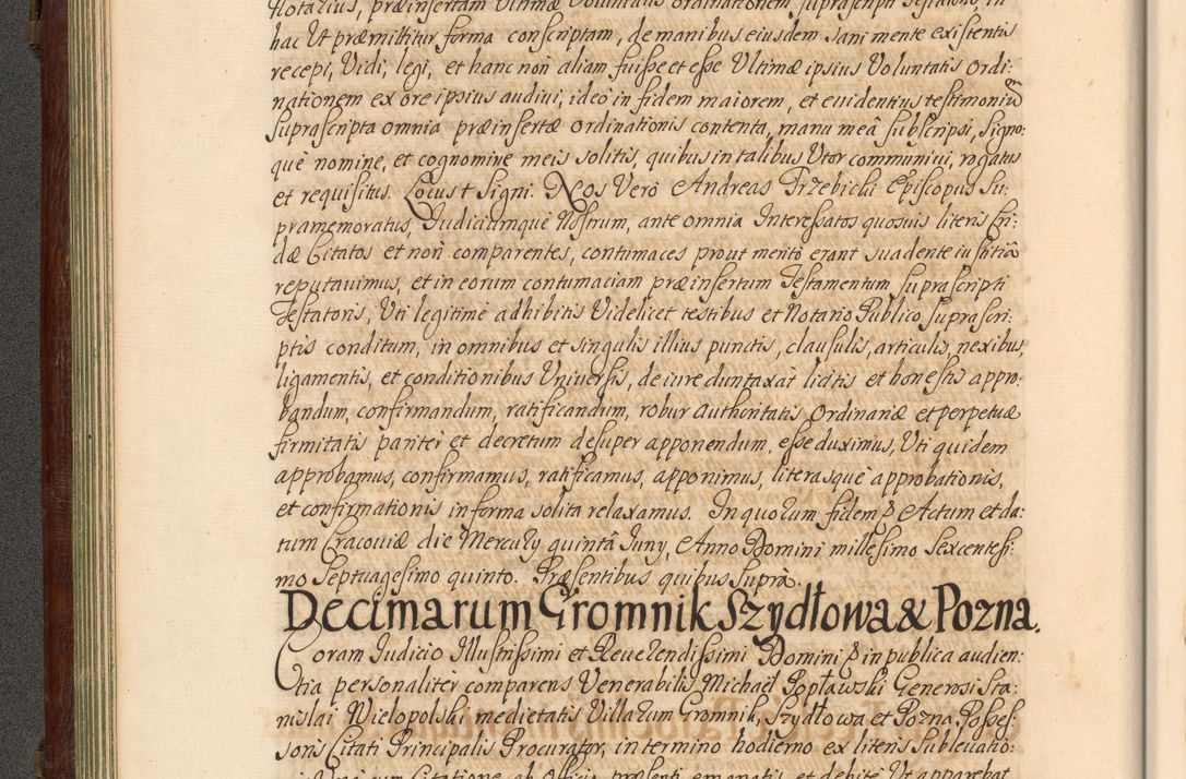 Zdjęcie nr 101 dla obiektu archiwalnego: Acta actorum episcopalium R. D. Andrea Trzebicki, episcopi Cracoviensis a mense Aprili 1675 ad Aprilem 1676 acticatorum. Volumen VI