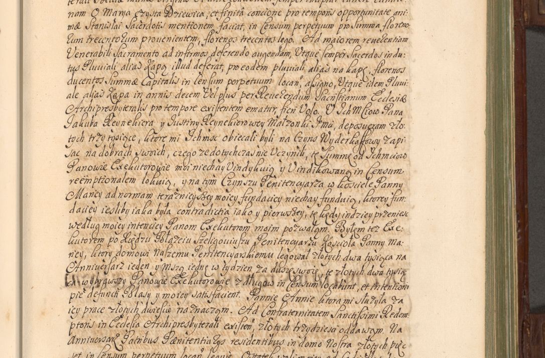 Zdjęcie nr 100 dla obiektu archiwalnego: Acta actorum episcopalium R. D. Andrea Trzebicki, episcopi Cracoviensis a mense Aprili 1675 ad Aprilem 1676 acticatorum. Volumen VI