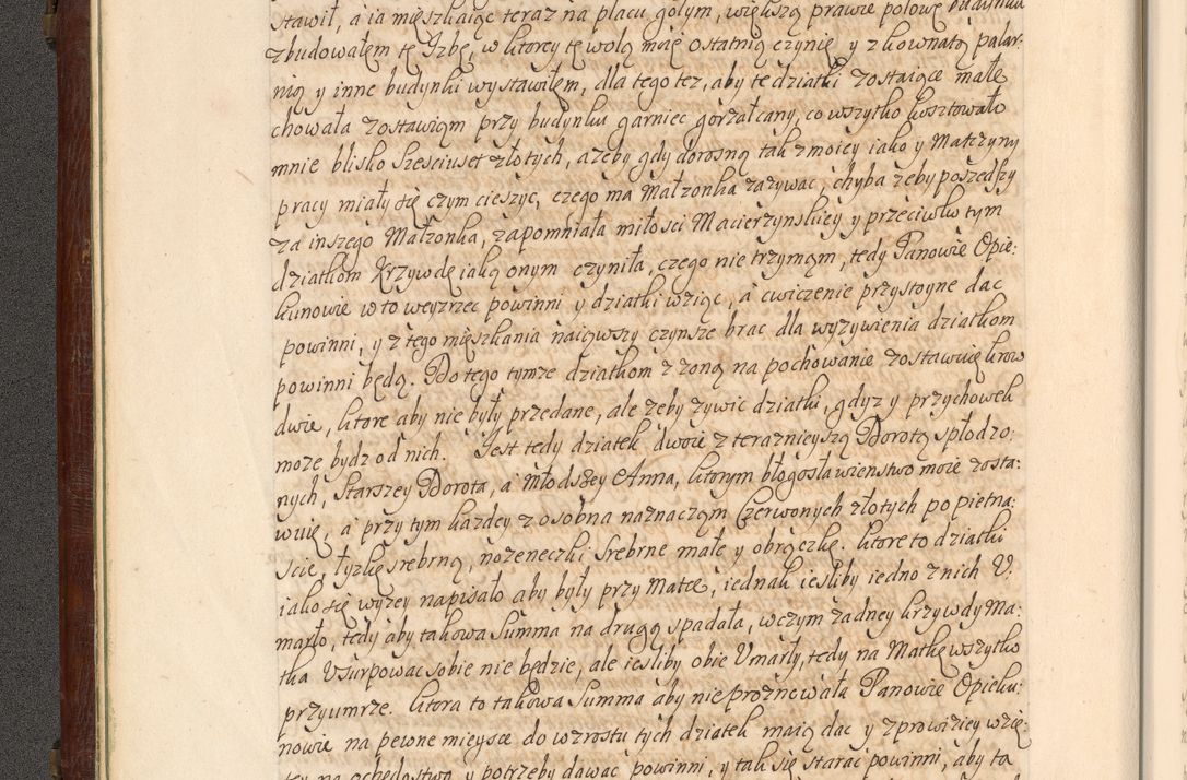 Zdjęcie nr 25 dla obiektu archiwalnego: Acta actorum episcopalium R. D. Andrea Trzebicki, episcopi Cracoviensis a mense Aprili 1675 ad Aprilem 1676 acticatorum. Volumen VI