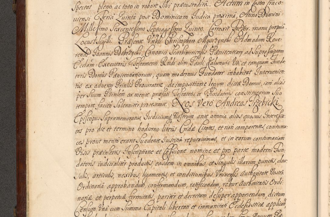 Zdjęcie nr 19 dla obiektu archiwalnego: Acta actorum episcopalium R. D. Andrea Trzebicki, episcopi Cracoviensis a mense Aprili 1675 ad Aprilem 1676 acticatorum. Volumen VI