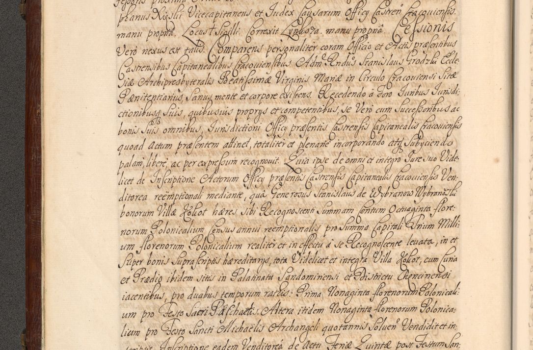 Zdjęcie nr 17 dla obiektu archiwalnego: Acta actorum episcopalium R. D. Andrea Trzebicki, episcopi Cracoviensis a mense Aprili 1675 ad Aprilem 1676 acticatorum. Volumen VI