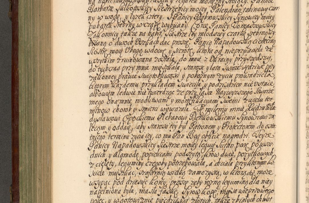 Zdjęcie nr 523 dla obiektu archiwalnego: Acta actorum episcopalium R. D. Andrea Trzebicki, episcopi Cracoviensis a mense Aprili 1675 ad Aprilem 1676 acticatorum. Volumen VI
