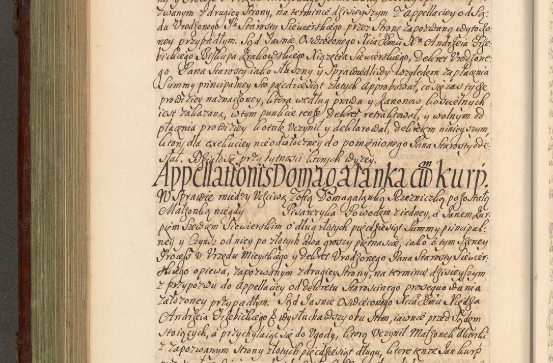 Zdjęcie nr 507 dla obiektu archiwalnego: Acta actorum episcopalium R. D. Andrea Trzebicki, episcopi Cracoviensis a mense Aprili 1675 ad Aprilem 1676 acticatorum. Volumen VI