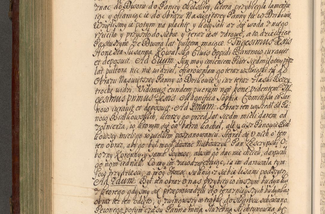 Zdjęcie nr 489 dla obiektu archiwalnego: Acta actorum episcopalium R. D. Andrea Trzebicki, episcopi Cracoviensis a mense Aprili 1675 ad Aprilem 1676 acticatorum. Volumen VI