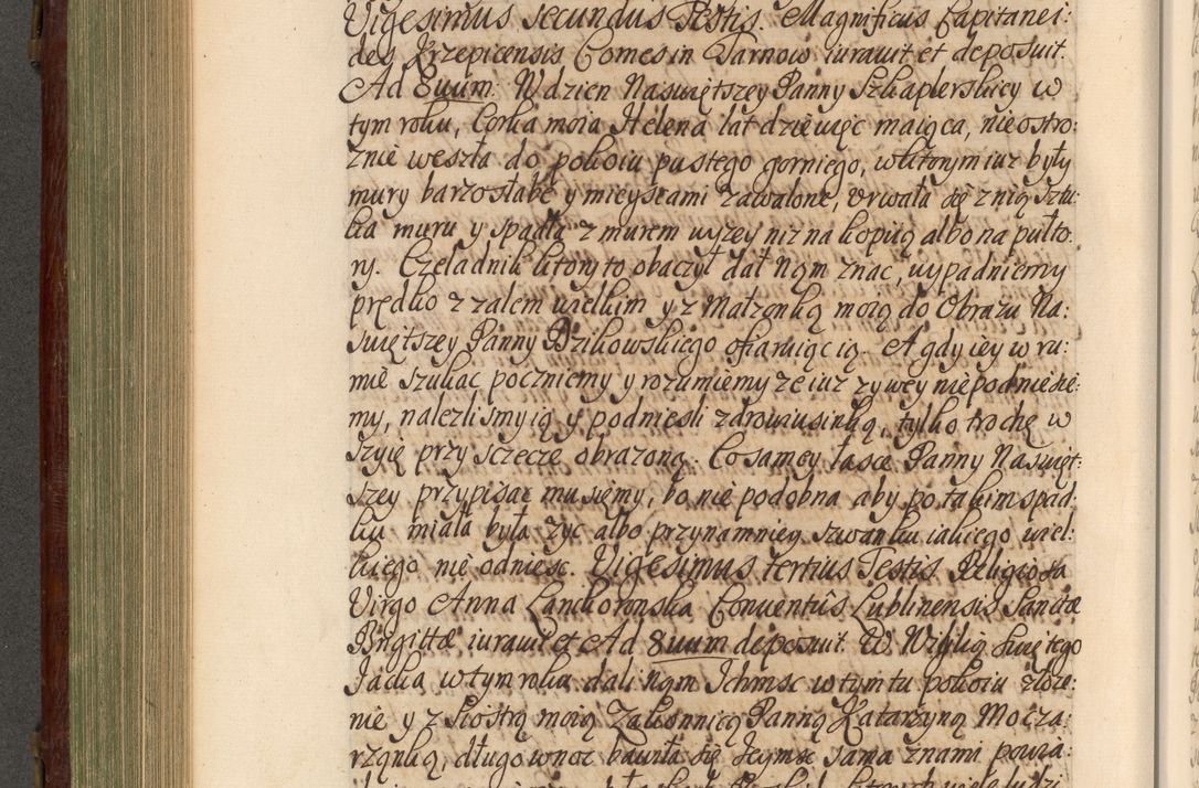 Zdjęcie nr 485 dla obiektu archiwalnego: Acta actorum episcopalium R. D. Andrea Trzebicki, episcopi Cracoviensis a mense Aprili 1675 ad Aprilem 1676 acticatorum. Volumen VI