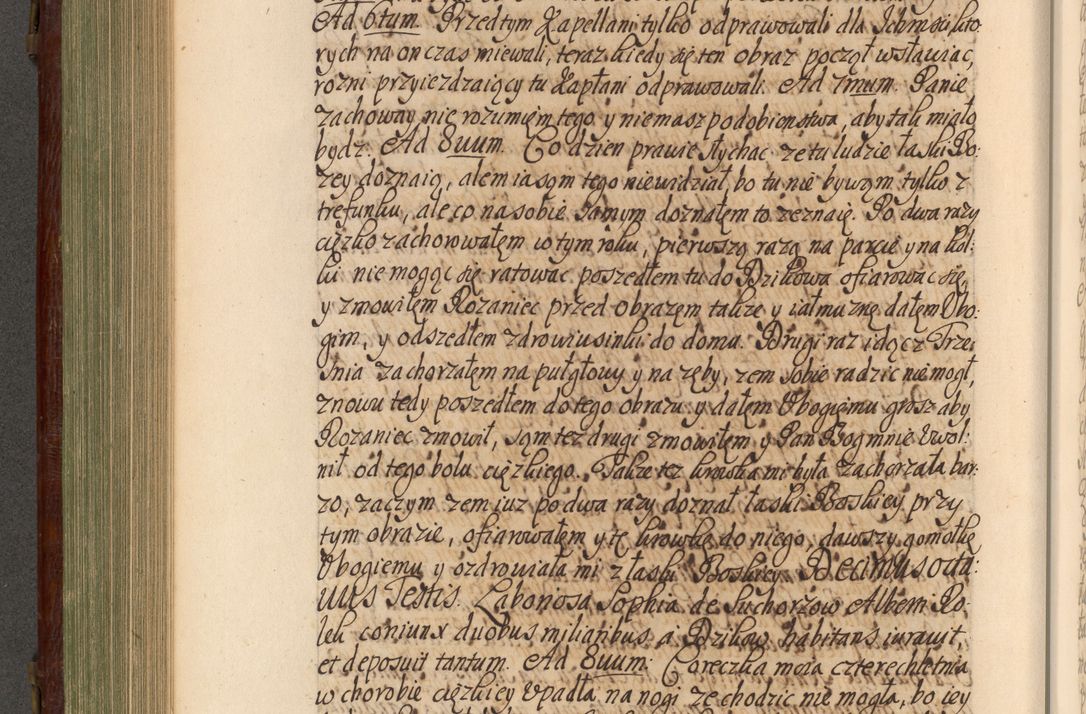Zdjęcie nr 483 dla obiektu archiwalnego: Acta actorum episcopalium R. D. Andrea Trzebicki, episcopi Cracoviensis a mense Aprili 1675 ad Aprilem 1676 acticatorum. Volumen VI