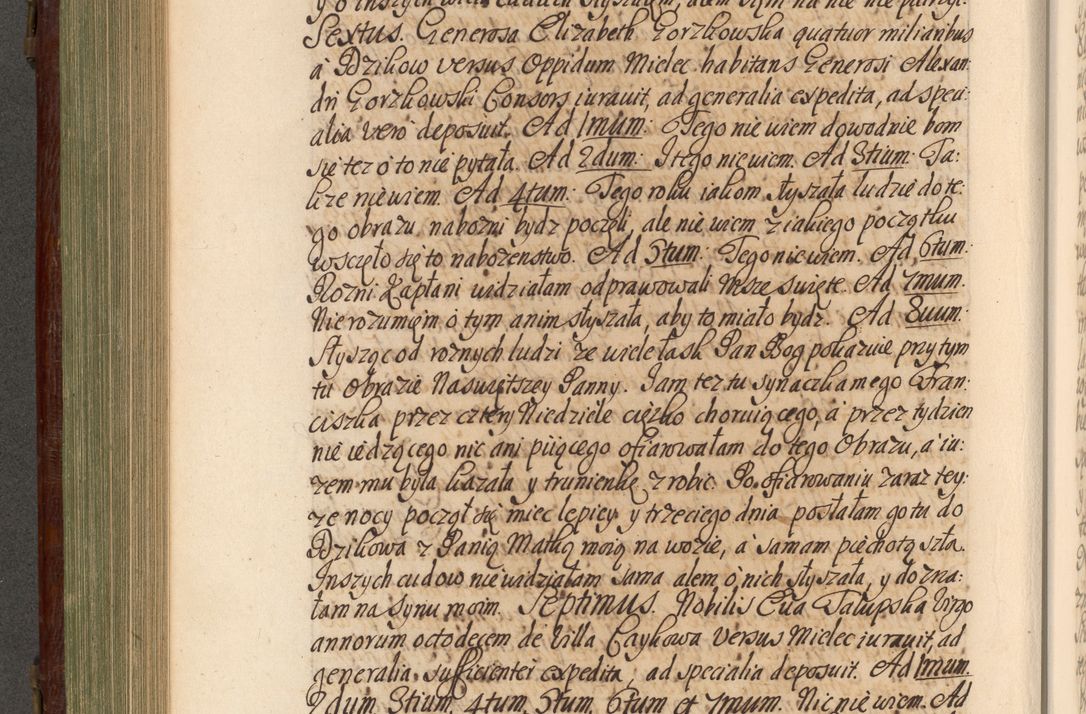 Zdjęcie nr 475 dla obiektu archiwalnego: Acta actorum episcopalium R. D. Andrea Trzebicki, episcopi Cracoviensis a mense Aprili 1675 ad Aprilem 1676 acticatorum. Volumen VI