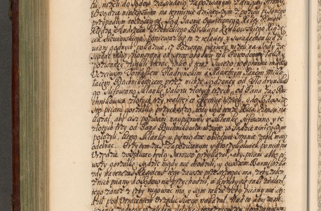 Zdjęcie nr 449 dla obiektu archiwalnego: Acta actorum episcopalium R. D. Andrea Trzebicki, episcopi Cracoviensis a mense Aprili 1675 ad Aprilem 1676 acticatorum. Volumen VI