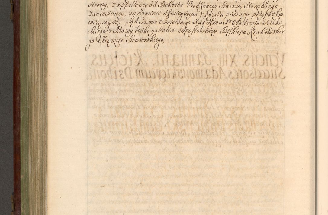 Zdjęcie nr 903 dla obiektu archiwalnego: Acta actorum episcopalium R. D. Andrea Trzebicki, episcopi Cracoviensis a mense Aprili 1675 ad Aprilem 1676 acticatorum. Volumen VI