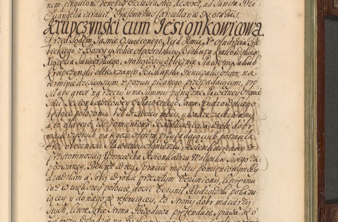 Zdjęcie nr 856 dla obiektu archiwalnego: Acta actorum episcopalium R. D. Andrea Trzebicki, episcopi Cracoviensis a mense Aprili 1675 ad Aprilem 1676 acticatorum. Volumen VI
