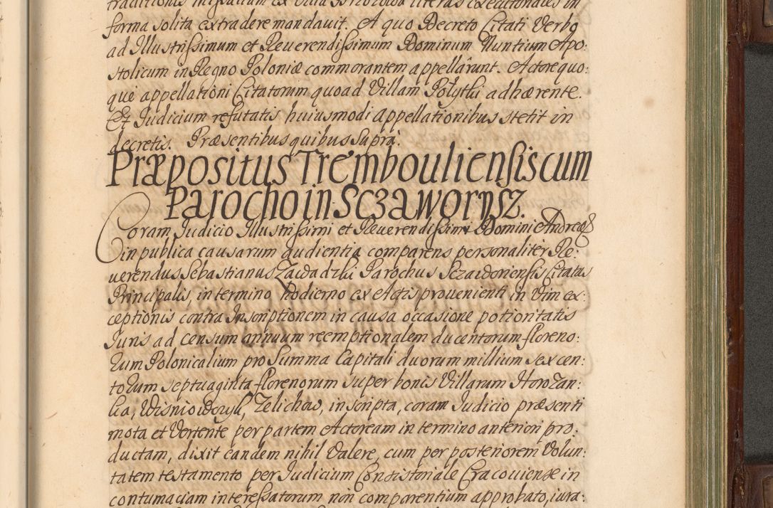 Zdjęcie nr 796 dla obiektu archiwalnego: Acta actorum episcopalium R. D. Andrea Trzebicki, episcopi Cracoviensis a mense Aprili 1675 ad Aprilem 1676 acticatorum. Volumen VI