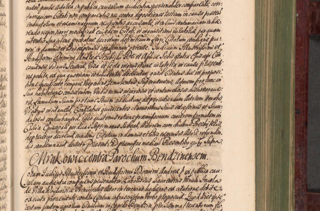 Zdjęcie nr 194 dla obiektu archiwalnego: Acta actorum episcopalium R. D. Andreae Trzebicki, episcopi Cracoviensis et ducis Severiae a die 29 Maii 1676 ad 1678 inclusive. Volumen VII