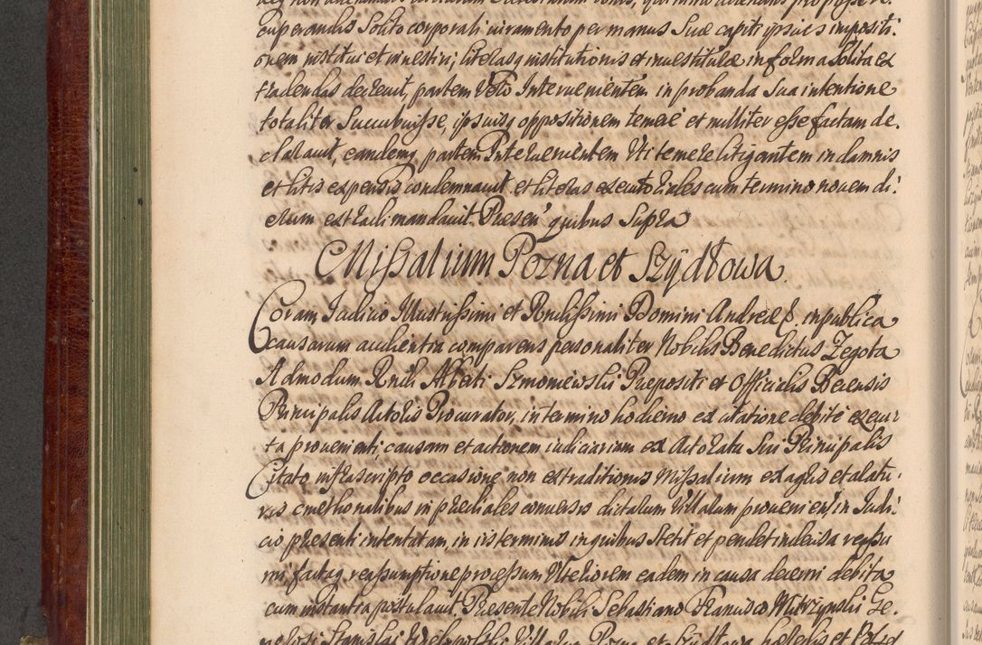 Zdjęcie nr 191 dla obiektu archiwalnego: Acta actorum episcopalium R. D. Andreae Trzebicki, episcopi Cracoviensis et ducis Severiae a die 29 Maii 1676 ad 1678 inclusive. Volumen VII
