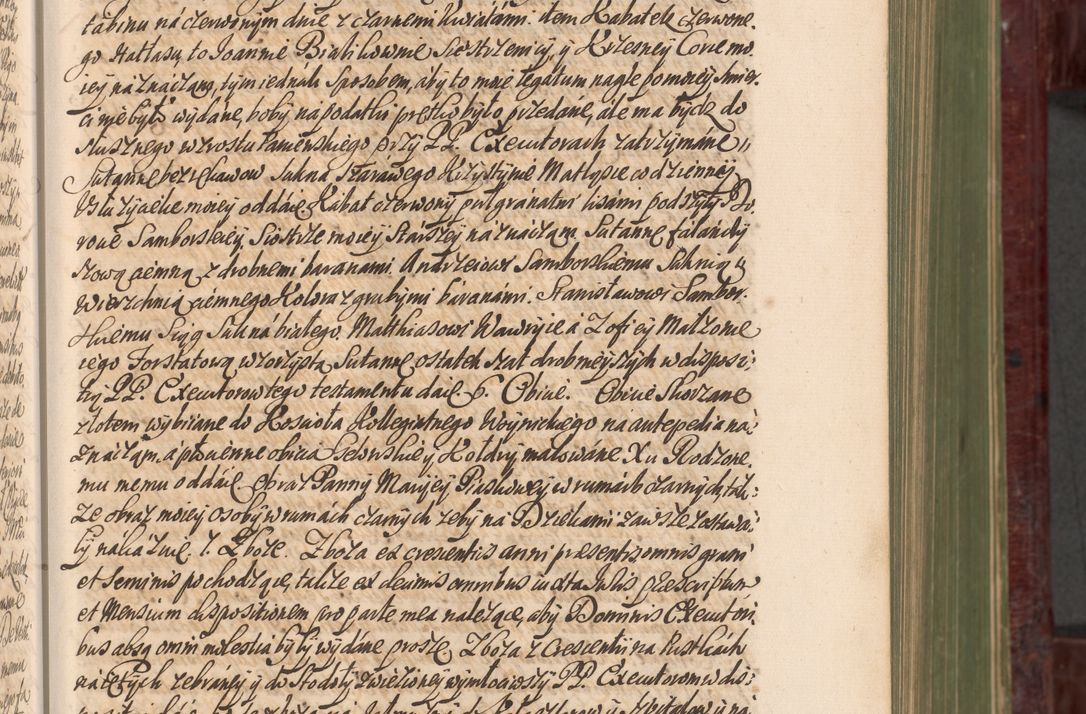 Zdjęcie nr 110 dla obiektu archiwalnego: Acta actorum episcopalium R. D. Andreae Trzebicki, episcopi Cracoviensis et ducis Severiae a die 29 Maii 1676 ad 1678 inclusive. Volumen VII