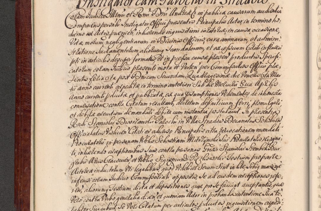 Zdjęcie nr 25 dla obiektu archiwalnego: Acta actorum episcopalium R. D. Andreae Trzebicki, episcopi Cracoviensis et ducis Severiae a die 29 Maii 1676 ad 1678 inclusive. Volumen VII