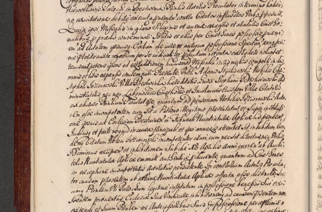 Zdjęcie nr 13 dla obiektu archiwalnego: Acta actorum episcopalium R. D. Andreae Trzebicki, episcopi Cracoviensis et ducis Severiae a die 29 Maii 1676 ad 1678 inclusive. Volumen VII