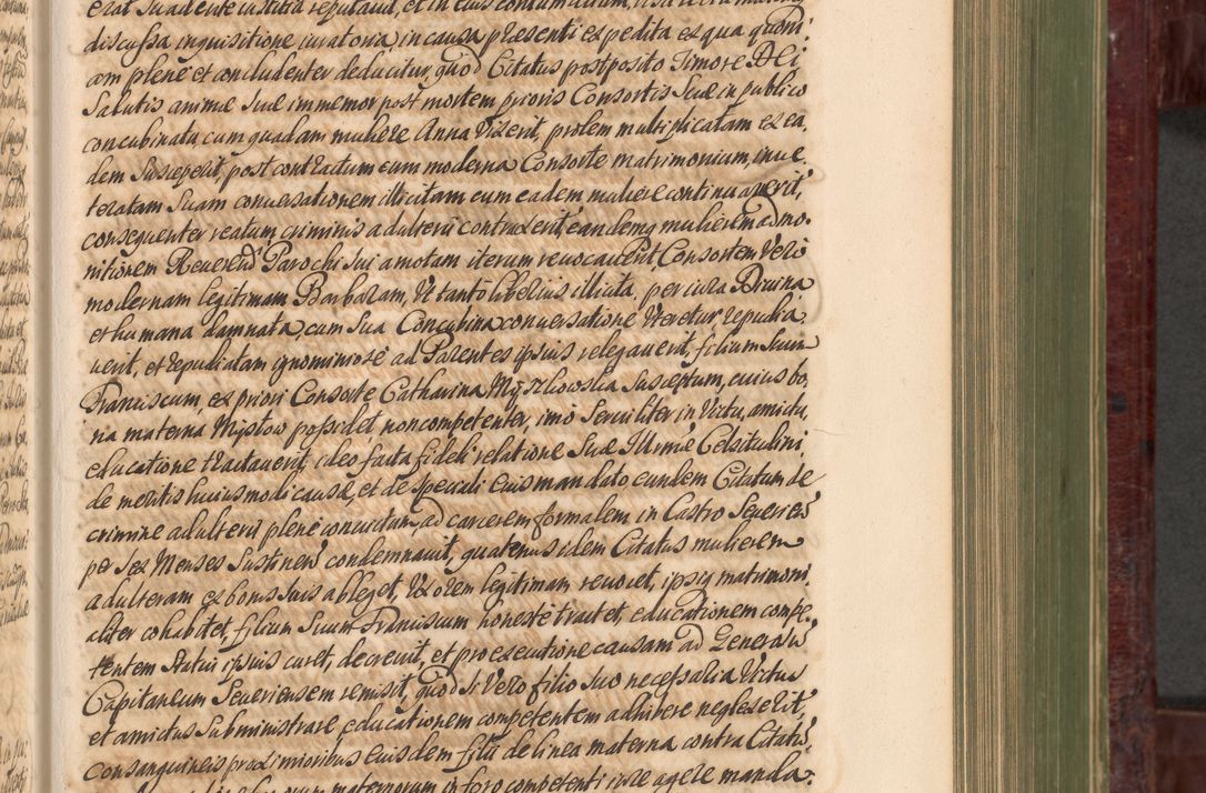 Zdjęcie nr 392 dla obiektu archiwalnego: Acta actorum episcopalium R. D. Andreae Trzebicki, episcopi Cracoviensis et ducis Severiae a die 29 Maii 1676 ad 1678 inclusive. Volumen VII