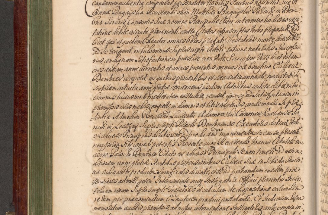 Zdjęcie nr 313 dla obiektu archiwalnego: Acta actorum episcopalium R. D. Andreae Trzebicki, episcopi Cracoviensis et ducis Severiae a die 29 Maii 1676 ad 1678 inclusive. Volumen VII