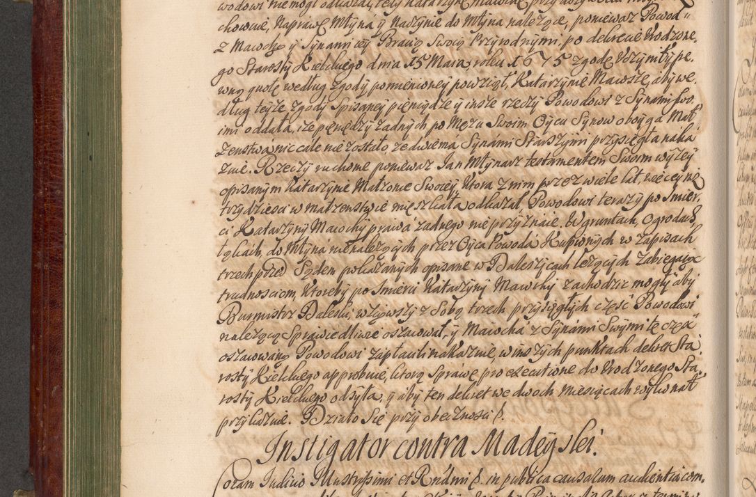 Zdjęcie nr 309 dla obiektu archiwalnego: Acta actorum episcopalium R. D. Andreae Trzebicki, episcopi Cracoviensis et ducis Severiae a die 29 Maii 1676 ad 1678 inclusive. Volumen VII
