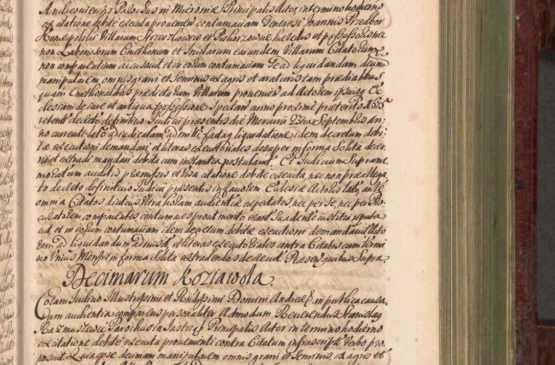 Zdjęcie nr 294 dla obiektu archiwalnego: Acta actorum episcopalium R. D. Andreae Trzebicki, episcopi Cracoviensis et ducis Severiae a die 29 Maii 1676 ad 1678 inclusive. Volumen VII