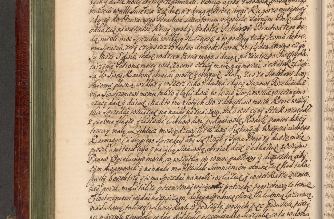 Zdjęcie nr 291 dla obiektu archiwalnego: Acta actorum episcopalium R. D. Andreae Trzebicki, episcopi Cracoviensis et ducis Severiae a die 29 Maii 1676 ad 1678 inclusive. Volumen VII