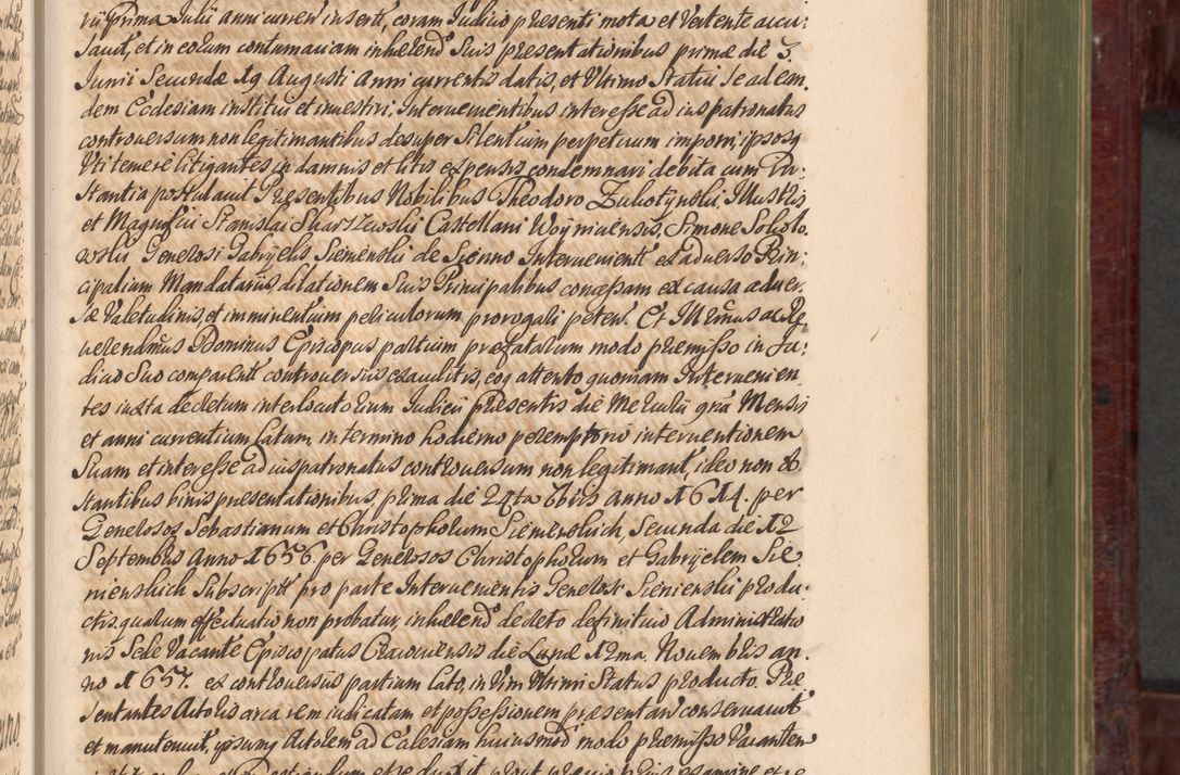 Zdjęcie nr 272 dla obiektu archiwalnego: Acta actorum episcopalium R. D. Andreae Trzebicki, episcopi Cracoviensis et ducis Severiae a die 29 Maii 1676 ad 1678 inclusive. Volumen VII