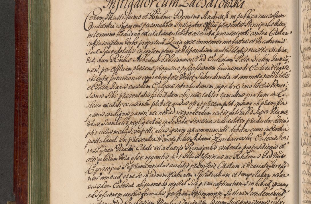 Zdjęcie nr 263 dla obiektu archiwalnego: Acta actorum episcopalium R. D. Andreae Trzebicki, episcopi Cracoviensis et ducis Severiae a die 29 Maii 1676 ad 1678 inclusive. Volumen VII