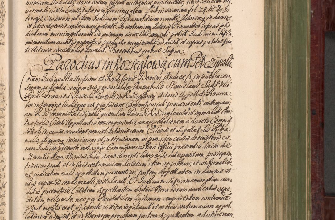 Zdjęcie nr 248 dla obiektu archiwalnego: Acta actorum episcopalium R. D. Andreae Trzebicki, episcopi Cracoviensis et ducis Severiae a die 29 Maii 1676 ad 1678 inclusive. Volumen VII