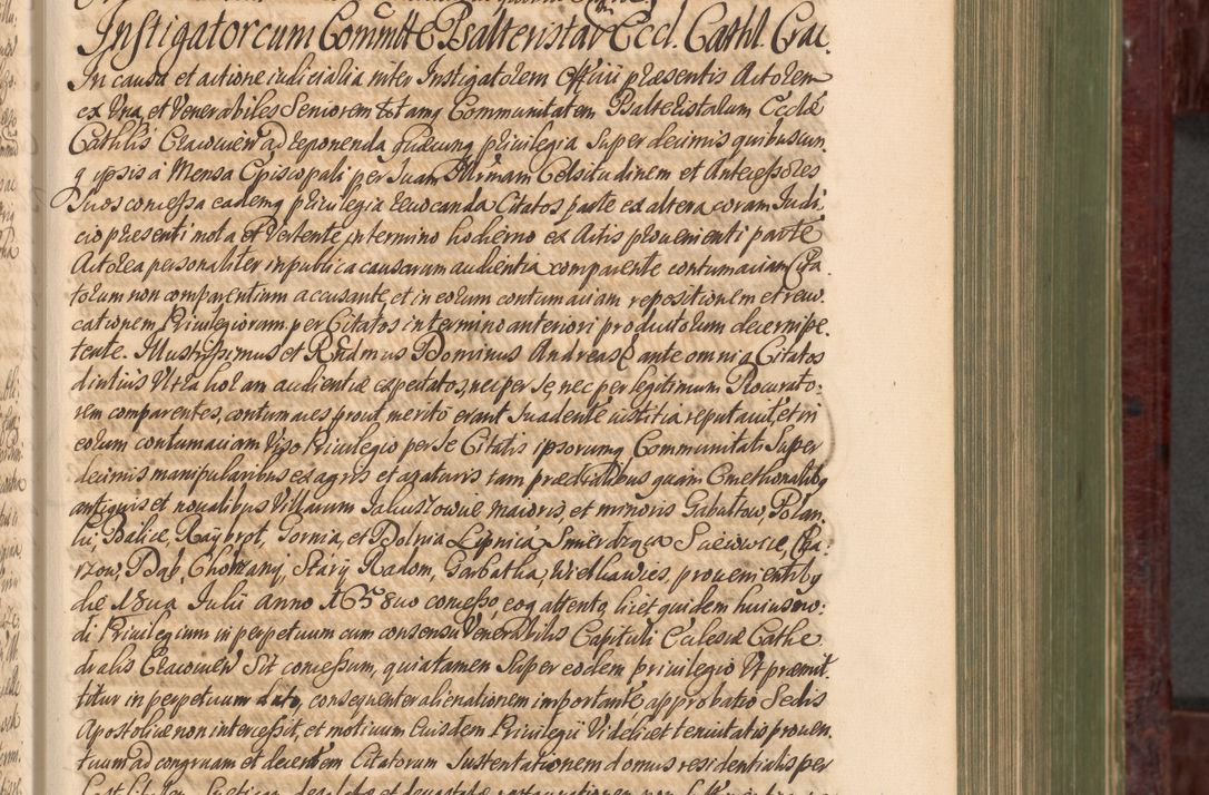 Zdjęcie nr 250 dla obiektu archiwalnego: Acta actorum episcopalium R. D. Andreae Trzebicki, episcopi Cracoviensis et ducis Severiae a die 29 Maii 1676 ad 1678 inclusive. Volumen VII