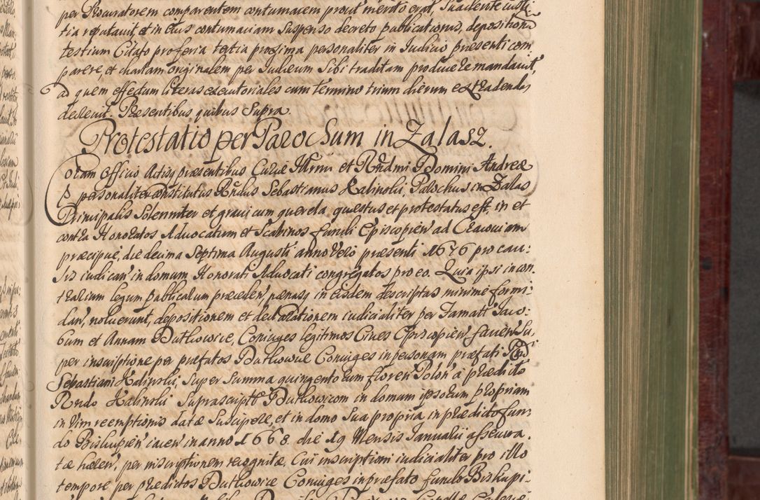 Zdjęcie nr 224 dla obiektu archiwalnego: Acta actorum episcopalium R. D. Andreae Trzebicki, episcopi Cracoviensis et ducis Severiae a die 29 Maii 1676 ad 1678 inclusive. Volumen VII