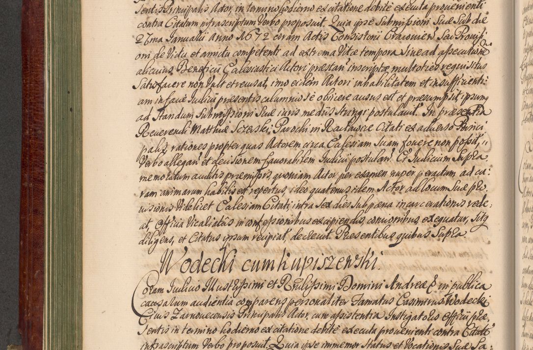 Zdjęcie nr 219 dla obiektu archiwalnego: Acta actorum episcopalium R. D. Andreae Trzebicki, episcopi Cracoviensis et ducis Severiae a die 29 Maii 1676 ad 1678 inclusive. Volumen VII
