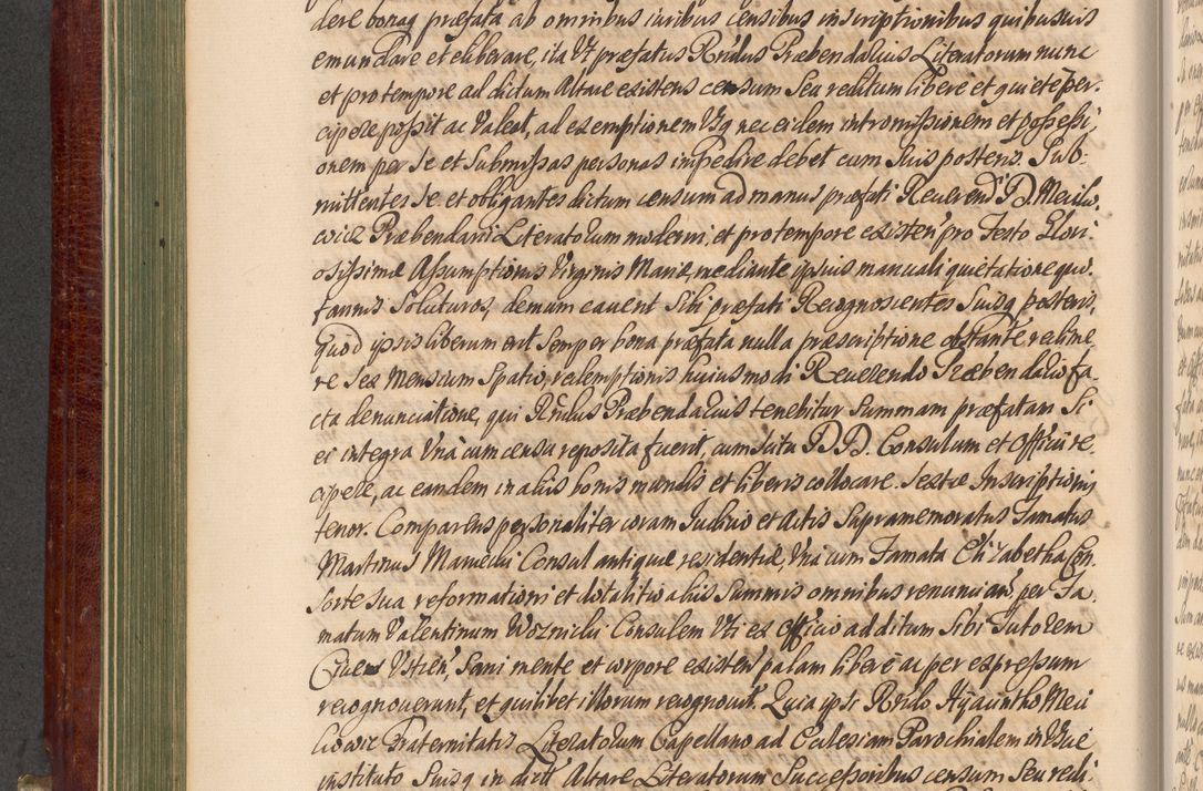 Zdjęcie nr 215 dla obiektu archiwalnego: Acta actorum episcopalium R. D. Andreae Trzebicki, episcopi Cracoviensis et ducis Severiae a die 29 Maii 1676 ad 1678 inclusive. Volumen VII