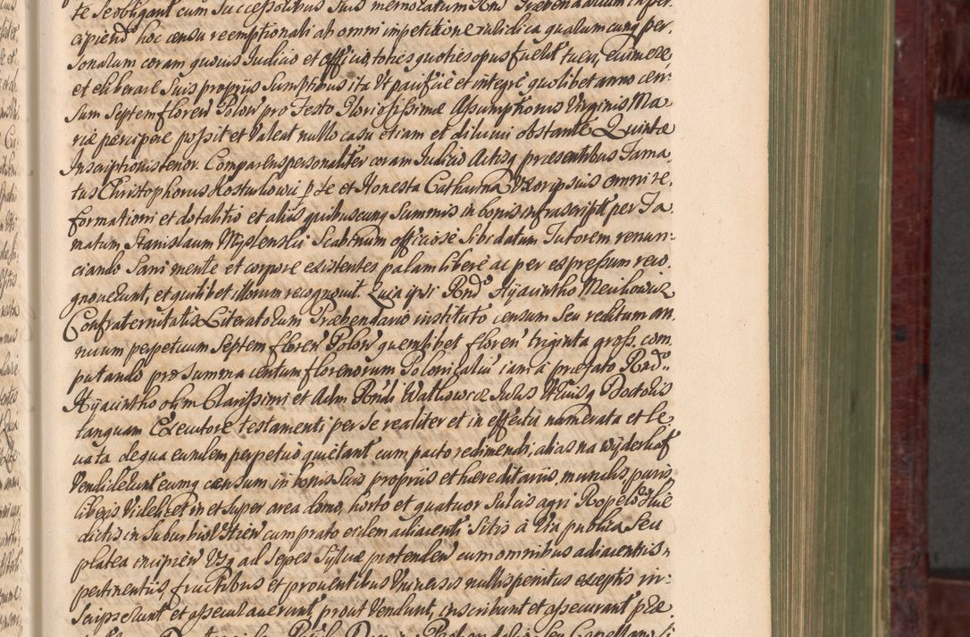 Zdjęcie nr 214 dla obiektu archiwalnego: Acta actorum episcopalium R. D. Andreae Trzebicki, episcopi Cracoviensis et ducis Severiae a die 29 Maii 1676 ad 1678 inclusive. Volumen VII