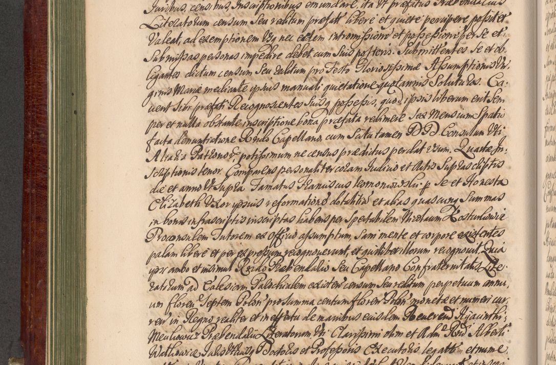 Zdjęcie nr 213 dla obiektu archiwalnego: Acta actorum episcopalium R. D. Andreae Trzebicki, episcopi Cracoviensis et ducis Severiae a die 29 Maii 1676 ad 1678 inclusive. Volumen VII