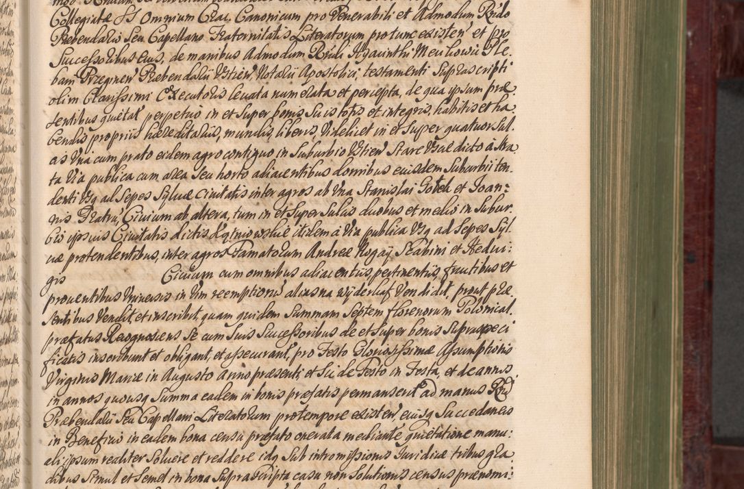 Zdjęcie nr 210 dla obiektu archiwalnego: Acta actorum episcopalium R. D. Andreae Trzebicki, episcopi Cracoviensis et ducis Severiae a die 29 Maii 1676 ad 1678 inclusive. Volumen VII