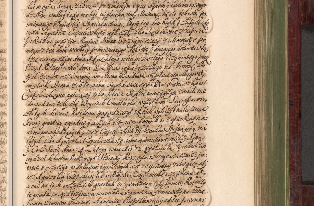 Zdjęcie nr 598 dla obiektu archiwalnego: Acta actorum episcopalium R. D. Andreae Trzebicki, episcopi Cracoviensis et ducis Severiae a die 29 Maii 1676 ad 1678 inclusive. Volumen VII