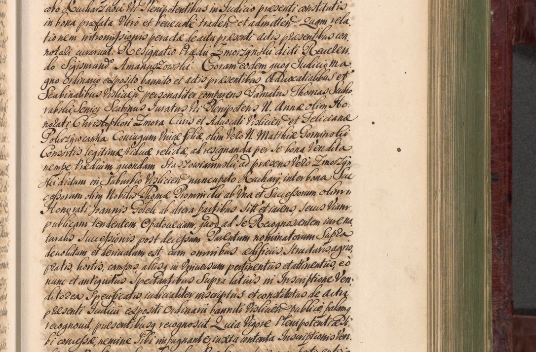Zdjęcie nr 556 dla obiektu archiwalnego: Acta actorum episcopalium R. D. Andreae Trzebicki, episcopi Cracoviensis et ducis Severiae a die 29 Maii 1676 ad 1678 inclusive. Volumen VII