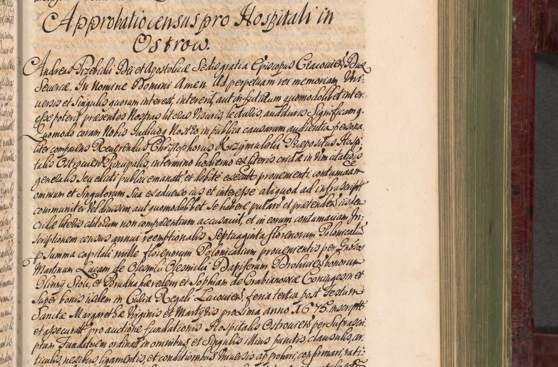Zdjęcie nr 498 dla obiektu archiwalnego: Acta actorum episcopalium R. D. Andreae Trzebicki, episcopi Cracoviensis et ducis Severiae a die 29 Maii 1676 ad 1678 inclusive. Volumen VII