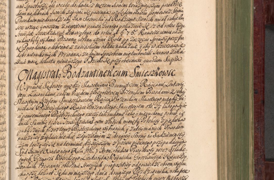 Zdjęcie nr 466 dla obiektu archiwalnego: Acta actorum episcopalium R. D. Andreae Trzebicki, episcopi Cracoviensis et ducis Severiae a die 29 Maii 1676 ad 1678 inclusive. Volumen VII