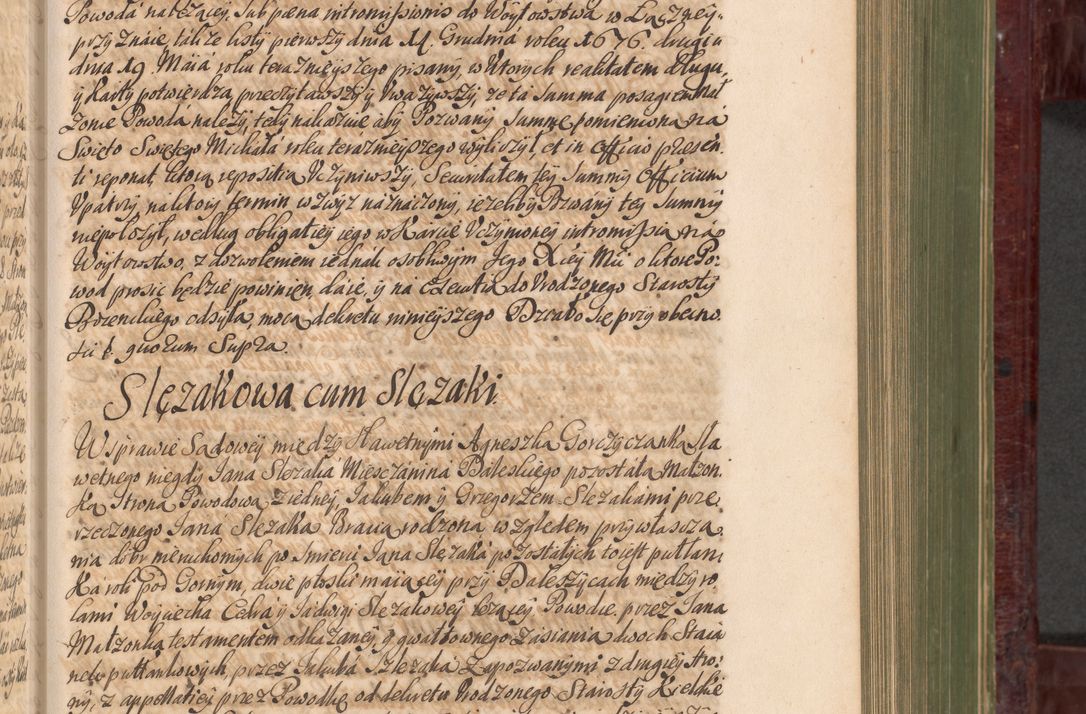 Zdjęcie nr 456 dla obiektu archiwalnego: Acta actorum episcopalium R. D. Andreae Trzebicki, episcopi Cracoviensis et ducis Severiae a die 29 Maii 1676 ad 1678 inclusive. Volumen VII