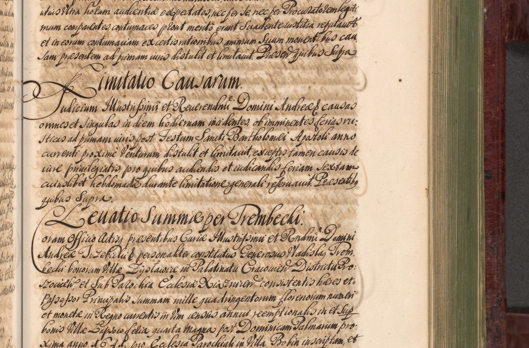 Zdjęcie nr 612 dla obiektu archiwalnego: Acta actorum episcopalium R. D. Andreae Trzebicki, episcopi Cracoviensis et ducis Severiae a die 29 Maii 1676 ad 1678 inclusive. Volumen VII